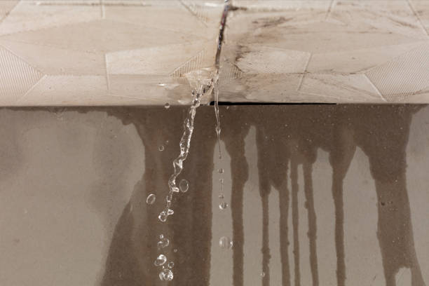 Professional Structural Drying technician working in House Springs, MO